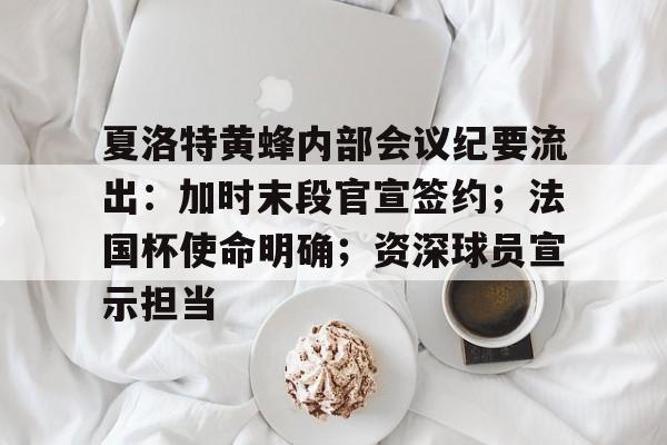 立博体育APP-夏洛特黄蜂内部会议纪要流出:加时末段官宣签约;法国杯使命明确;资深球员宣示担当的简单介绍